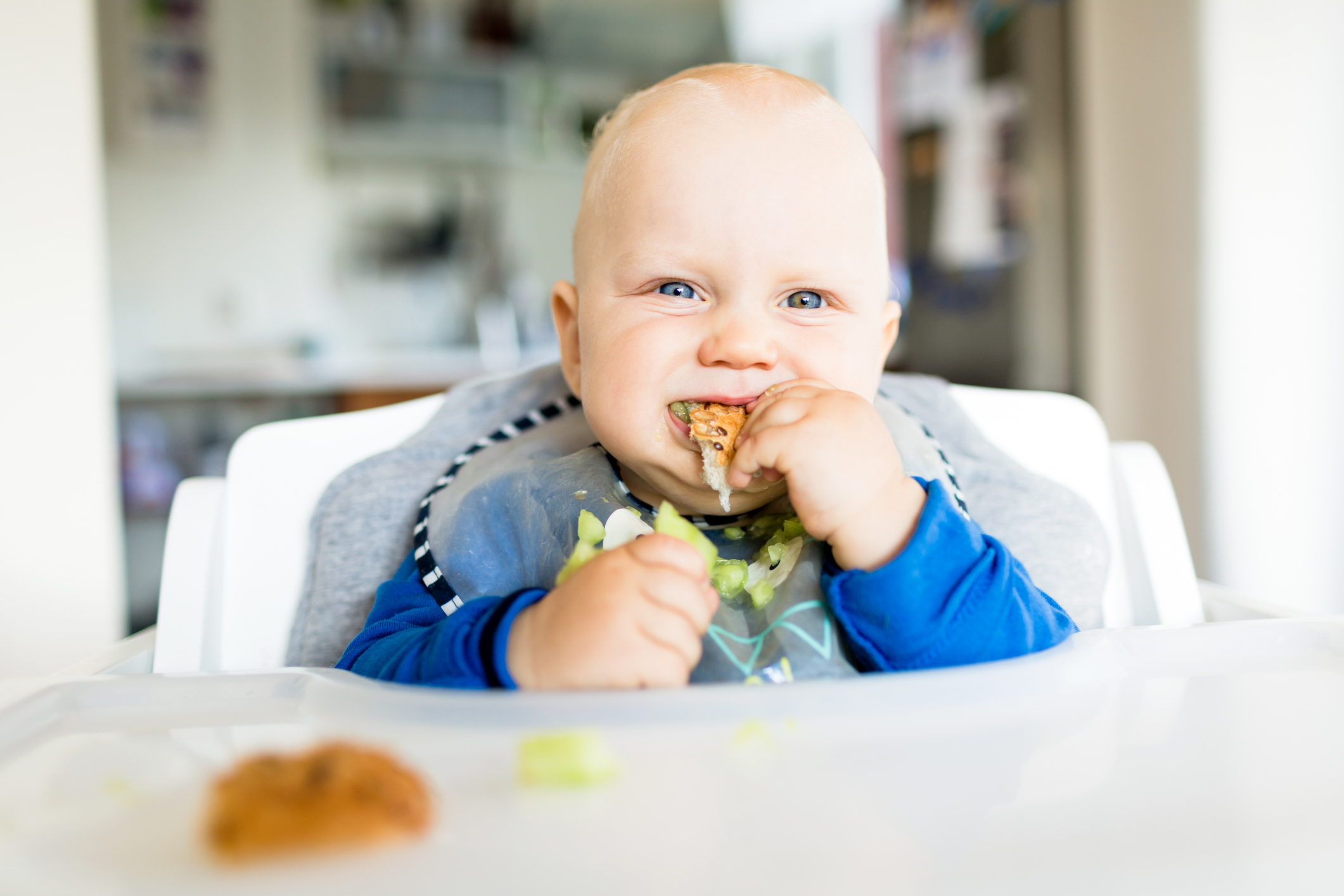 Baby-Led Weaning is a New Way of Feeding Your Baby - Learn More About it -  Health Beat