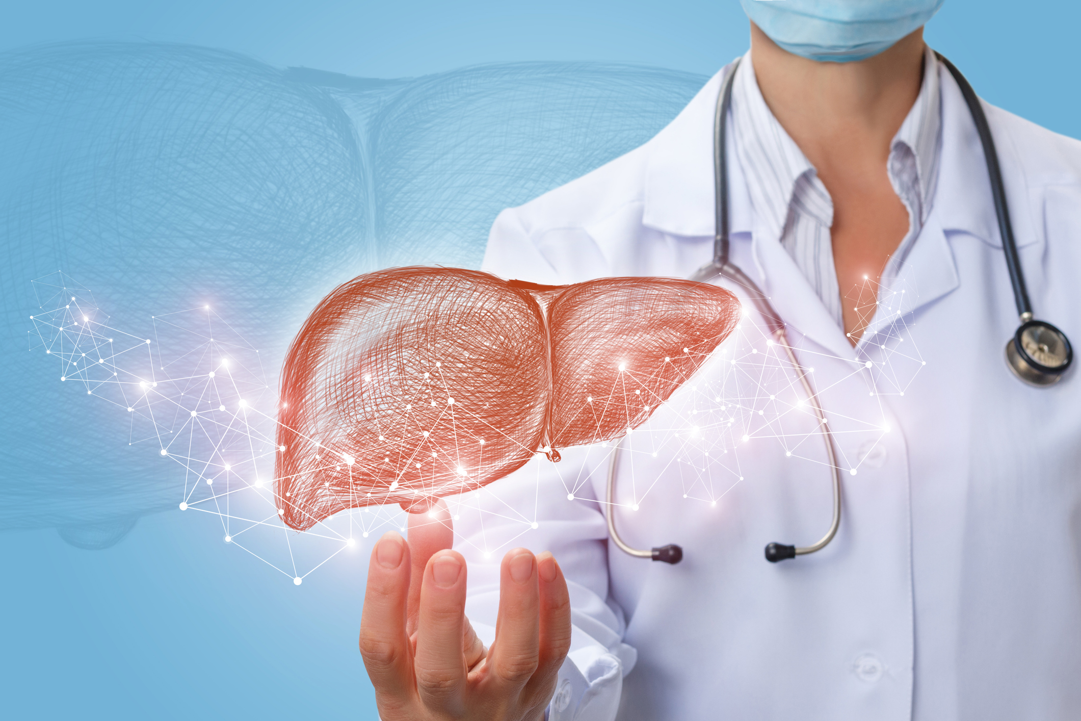 Fascinating Facts About Our Liver - Health Beat